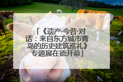 《遗产·今昔·对话：来自东方城市青岛的历史建筑巡礼》专题展在德开幕