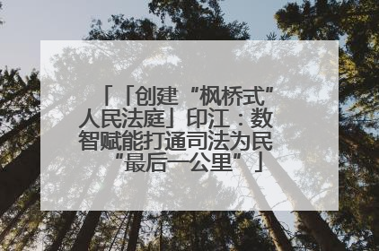 「创建“枫桥式”人民法庭」印江：数智赋能打通司法为民“最后一公里”