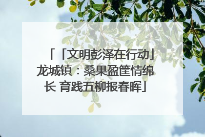 「文明彭泽在行动」龙城镇：桑果盈筐情绵长 育践五柳报春晖