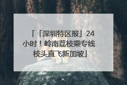 「深圳特区报」24小时！岭南荔枝乘专线 枝头直飞新加坡