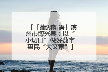 「蒲湖新语」滨州市博兴县：以“小切口”做好数字惠民“大文章”