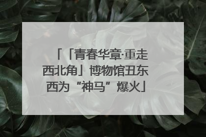 「青春华章·重走西北角」博物馆丑东西为“神马”爆火