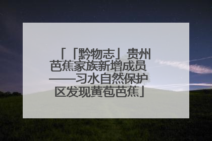 「黔物志」贵州芭蕉家族新增成员——习水自然保护区发现黄苞芭蕉