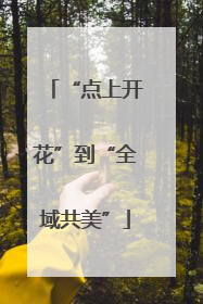 “点上开花”到“全域共美”