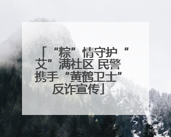 “粽”情守护“艾”满社区 民警携手“黄鹤卫士”反诈宣传