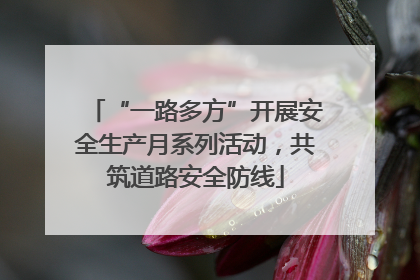 “一路多方”开展安全生产月系列活动，共筑道路安全防线