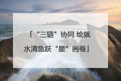 “三链”协同 绘就水清鱼跃“星”画卷