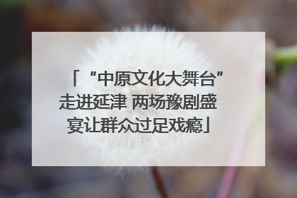 “中原文化大舞台”走进延津 两场豫剧盛宴让群众过足戏瘾