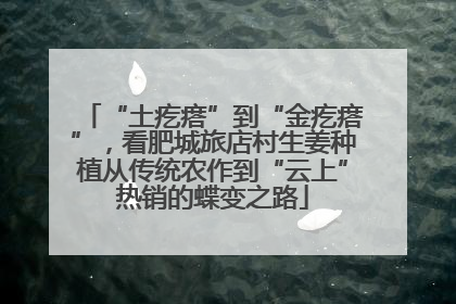 “土疙瘩”到“金疙瘩”，看肥城旅店村生姜种植从传统农作到“云上”热销的蝶变之路