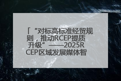 “对标高标准经贸规则，推动RCEP提质升级”——2025RCEP区域发展媒体智库论坛举行专题对话
