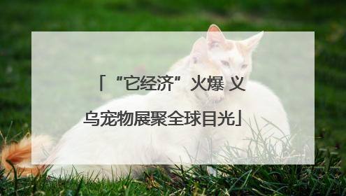 “它经济”火爆 义乌宠物展聚全球目光