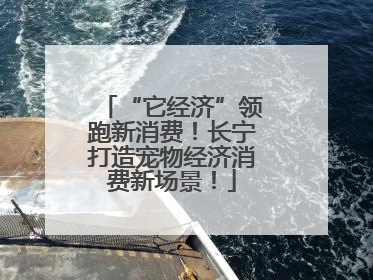 “它经济”领跑新消费！长宁打造宠物经济消费新场景！