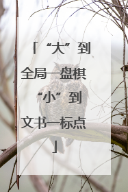 “大”到全局一盘棋 “小”到文书一标点