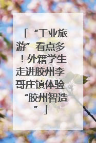 “工业旅游”看点多！外籍学生走进胶州李哥庄镇体验“胶州智造”