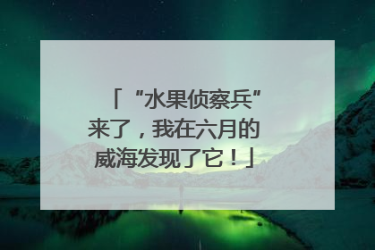 “水果侦察兵”来了，我在六月的威海发现了它！