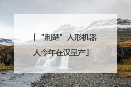 “荆楚”人形机器人今年在汉量产