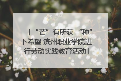 “芒”有所获 “种”下希望 滨州职业学院进行劳动实践教育活动