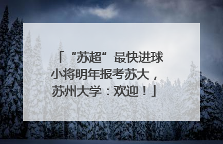 “苏超”最快进球小将明年报考苏大，苏州大学：欢迎！