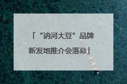 “讷河大豆”品牌新发地推介会落幕
