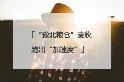 “豫北粮仓”麦收跑出“加速度”