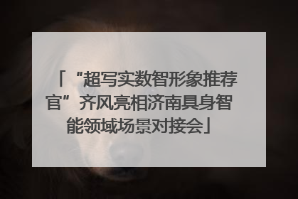 “超写实数智形象推荐官”齐风亮相济南具身智能领域场景对接会