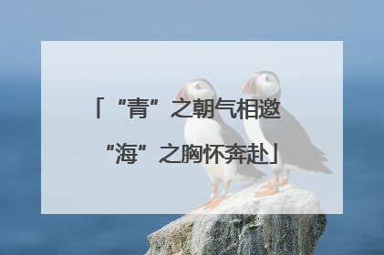 “青”之朝气相邀 “海”之胸怀奔赴