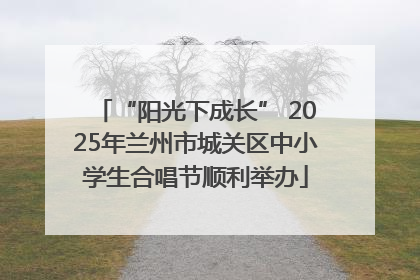 “阳光下成长” 2025年兰州市城关区中小学生合唱节顺利举办