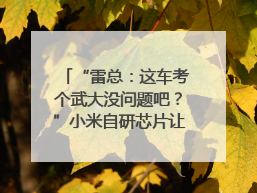 “雷总：这车考个武大没问题吧？”小米自研芯片让YU7会学习｜汽车科技