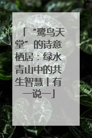 “鹭鸟天堂”的诗意栖居：绿水青山中的共生智慧丨有一说一
