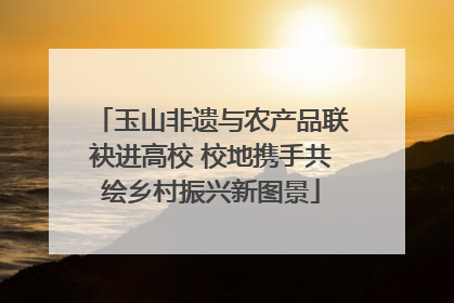 玉山非遗与农产品联袂进高校 校地携手共绘乡村振兴新图景