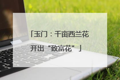 玉门：千亩西兰花开出“致富花”
