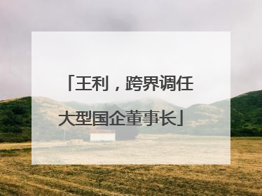 王利，跨界调任大型国企董事长