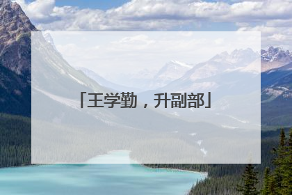 王学勤，升副部
