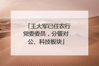 王大军已任农行党委委员，分管对公、科技板块
