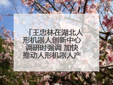 王忠林在湖北人形机器人创新中心调研时强调 加快推动人形机器人产业高质量发展 打造具有全国影响力的研发创新基地
