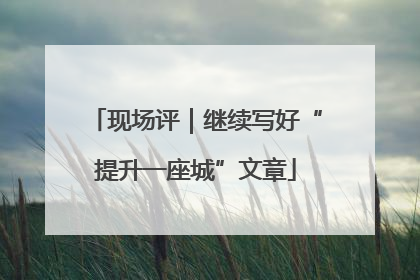 现场评｜继续写好“提升一座城”文章