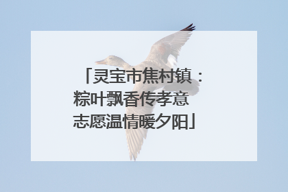 灵宝市焦村镇：粽叶飘香传孝意 志愿温情暖夕阳