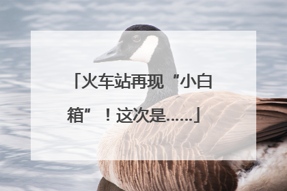 火车站再现“小白箱”！这次是……