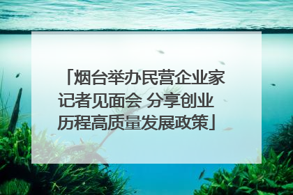 烟台举办民营企业家记者见面会 分享创业历程高质量发展政策