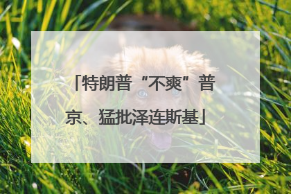 特朗普“不爽”普京、猛批泽连斯基