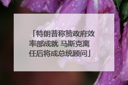 特朗普称赞政府效率部成就 马斯克离任后将成总统顾问