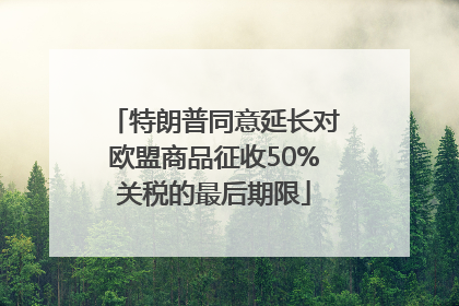 特朗普同意延长对欧盟商品征收50%关税的最后期限