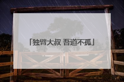 独臂大叔 吾道不孤