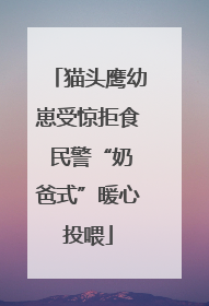 猫头鹰幼崽受惊拒食 民警“奶爸式”暖心投喂
