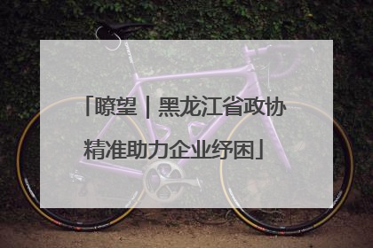 瞭望｜黑龙江省政协精准助力企业纾困