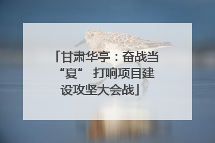 甘肃华亭：奋战当“夏” 打响项目建设攻坚大会战