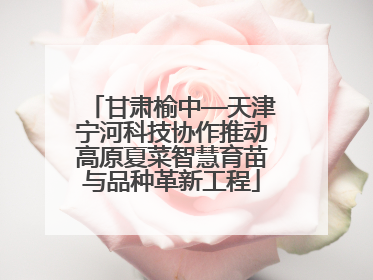 甘肃榆中—天津宁河科技协作推动高原夏菜智慧育苗与品种革新工程