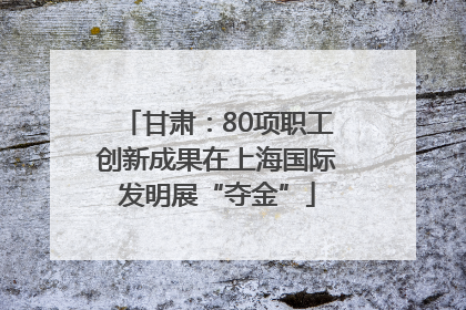 甘肃：80项职工创新成果在上海国际发明展“夺金”