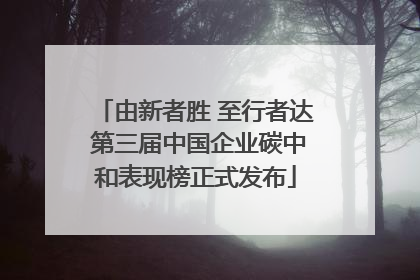 由新者胜 至行者达 第三届中国企业碳中和表现榜正式发布