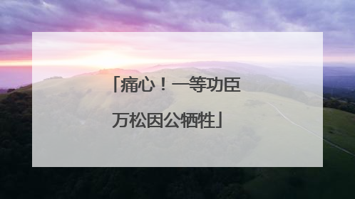 痛心！一等功臣万松因公牺牲